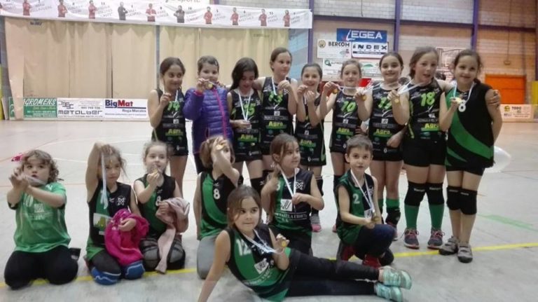 Le máis sobre o artigo Cheo no Carballo Calero para animar aos benxamíns do volei
